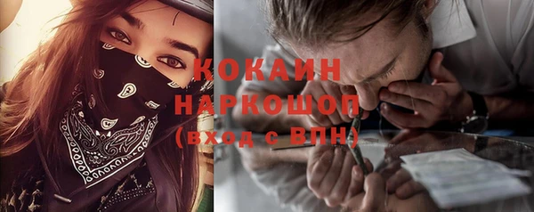 тгк Пересвет