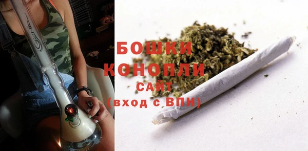 ECSTASY Абаза