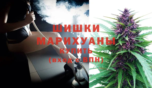 тгк Пересвет