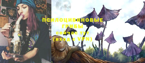 синтетический гашиш Переславль-Залесский