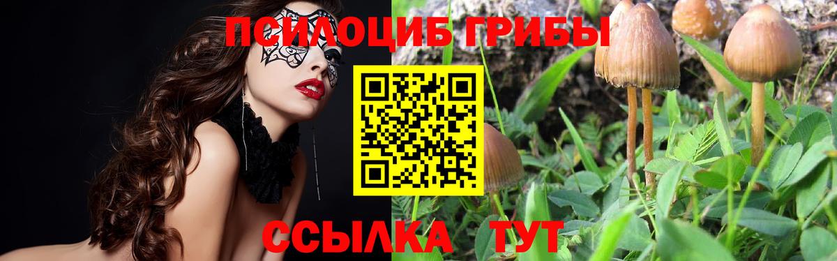 Галлюциногенные грибы мицелий  Вход с VPN  Азнакаево  Псилоцибиновые грибы мицелий 