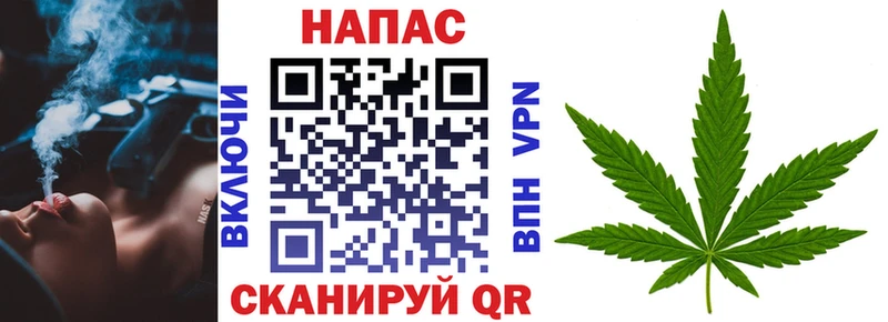 где купить   Азнакаево  кракен tor  МАРИХУАНА Amnesia 